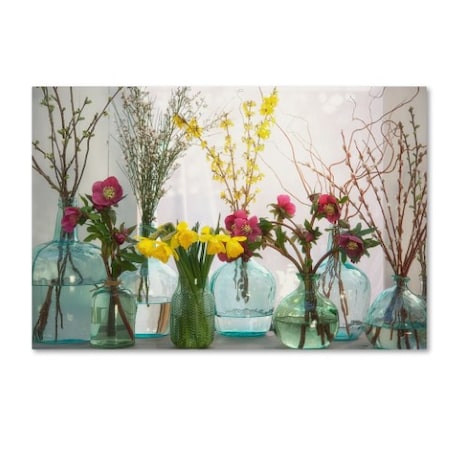 Cora Niele 'Spring Flowers In Glass Bottles I' Canvas Art,12x19